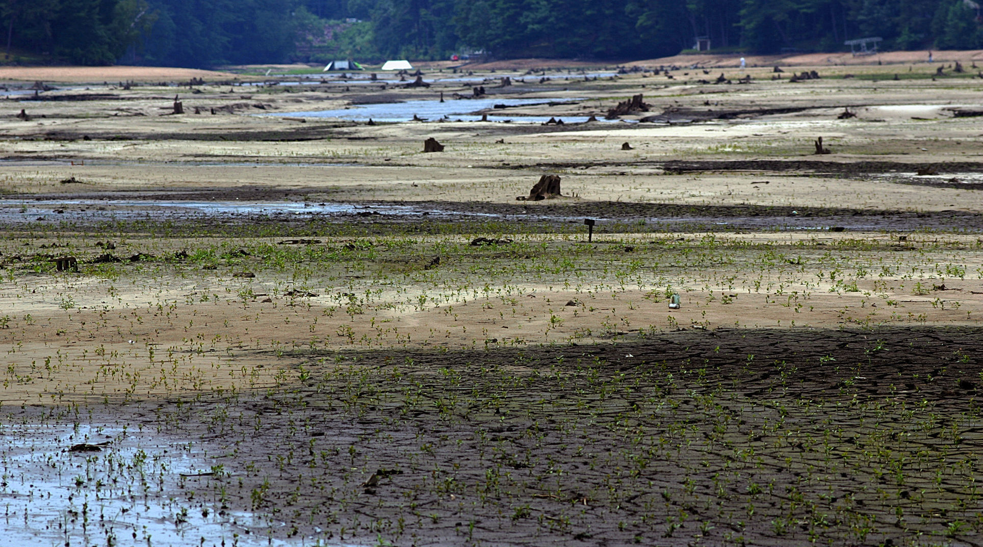 Lake still dry, 2008